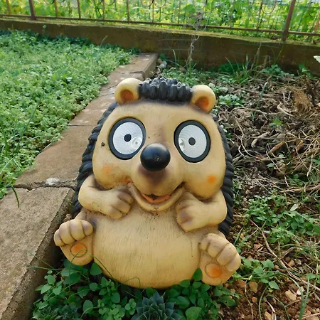 Apartment By The Sea - 22241